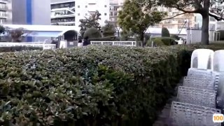 电影情人节车上开发美女舔脚